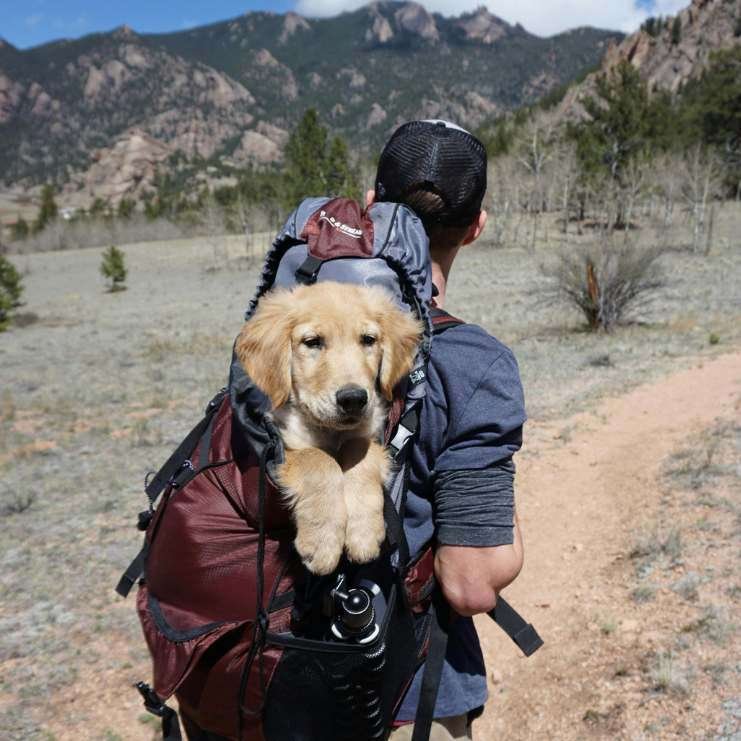 hiker is carrying a dog in his backpack